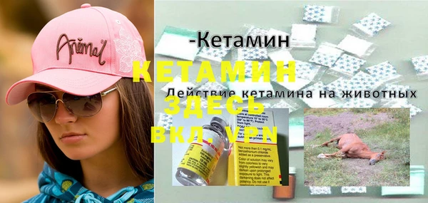 молекула духа Армянск