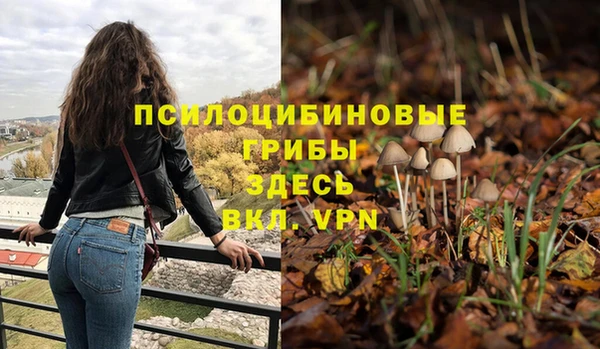 молекула духа Армянск