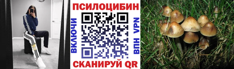 Псилоцибиновые грибы мицелий  Тайшет 